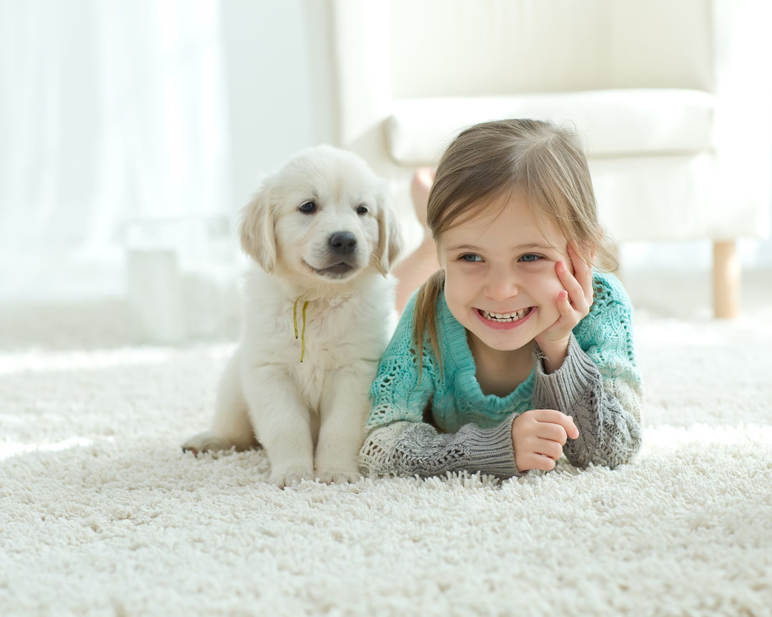 Blog How Often Should You Clean Your Carpets with Pets Resized