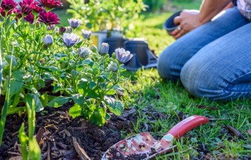 rsz top 5 diy summer gardening innovations png